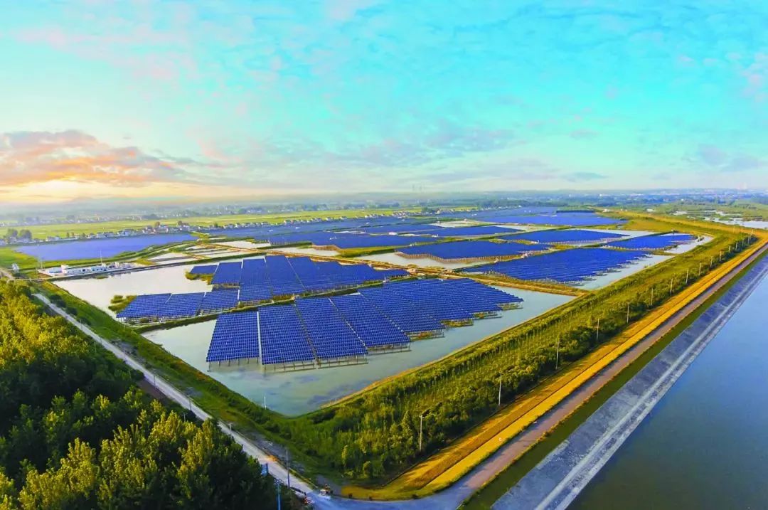 1703066034107162.jpg 6.jpg