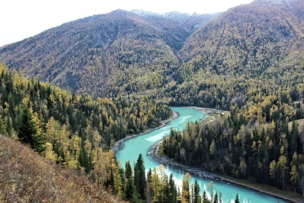 1704187961207812.jpg 640.jpg