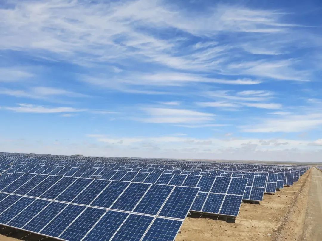 1704187976145009.jpg 640 (1).jpg